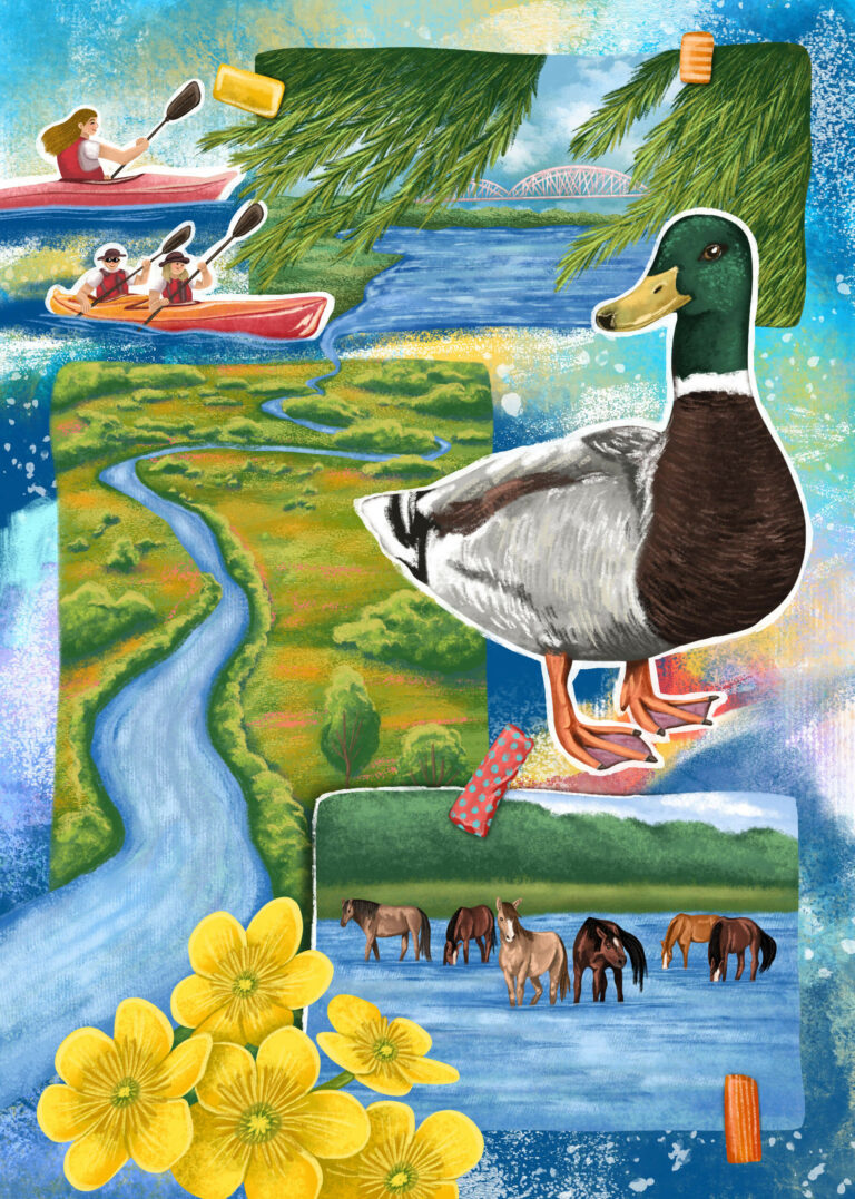 ilustracja planner