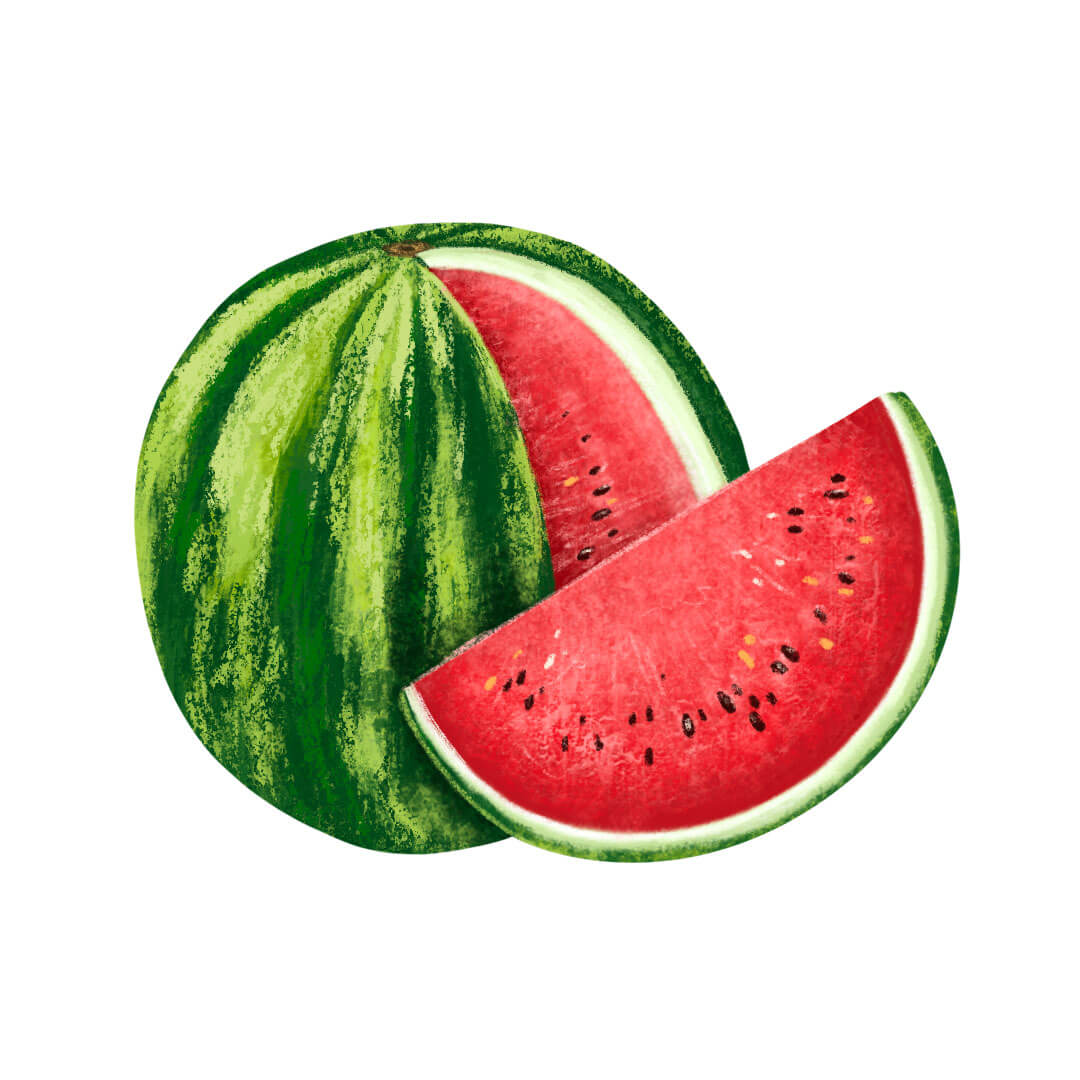 ilustracja do książki dla dzieci ilustratorka ilustracje