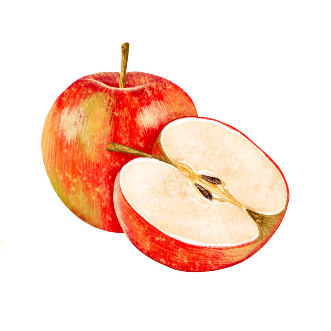 ilustracja do książki dla dzieci ilustratorka ilustracje
