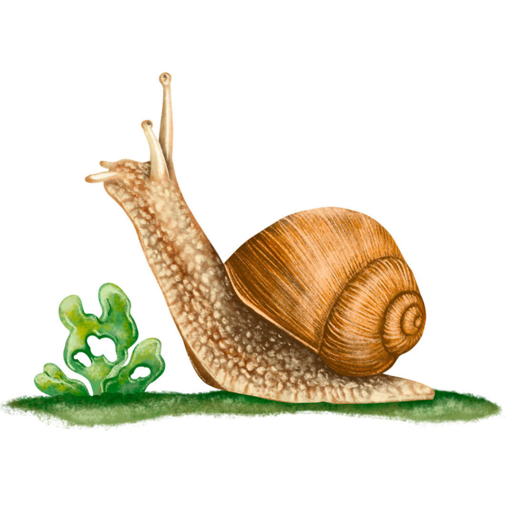 ilustracja do książki dla dzieci ilustratorka ilustracje