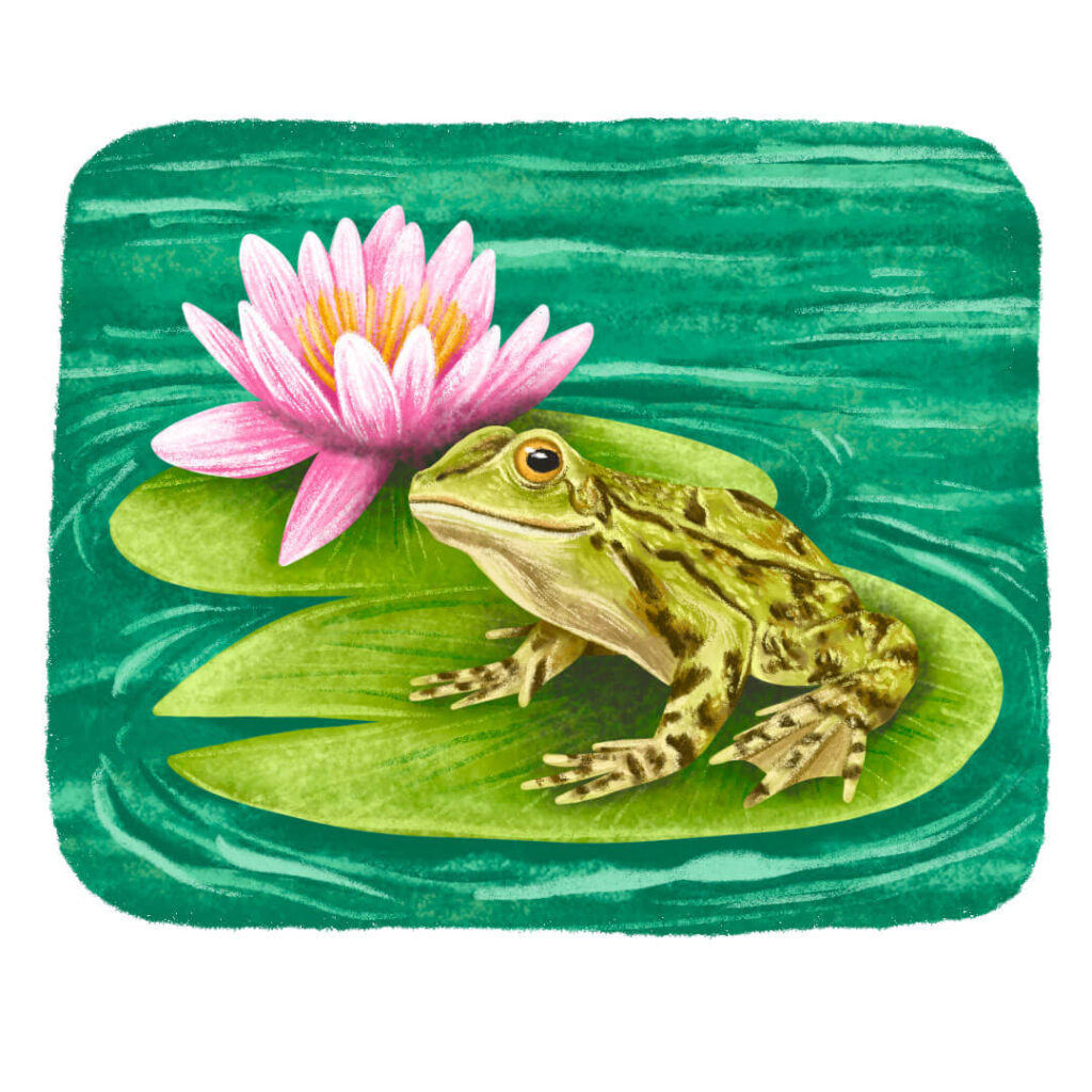 ilustracja do książki dla dzieci ilustratorka ilustracje